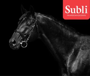 Subli Ajándékutalvány